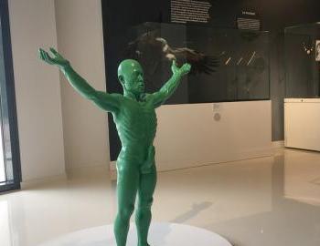 Homo Erectus Musée Forum Aurignac